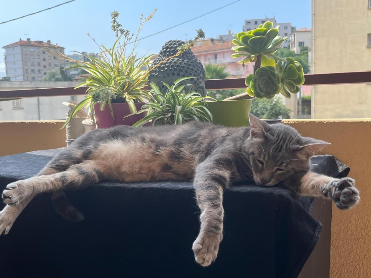 Pozzo Di Borgo Apartment Аячо Екстериор снимка